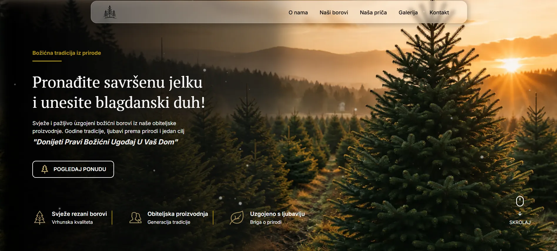 A sunlit Christmas tree farm at sunset with rows of lush pine trees extending toward misty hills, accompanied by Croatian text promoting fresh, family-grown Christmas trees and festive spirit.