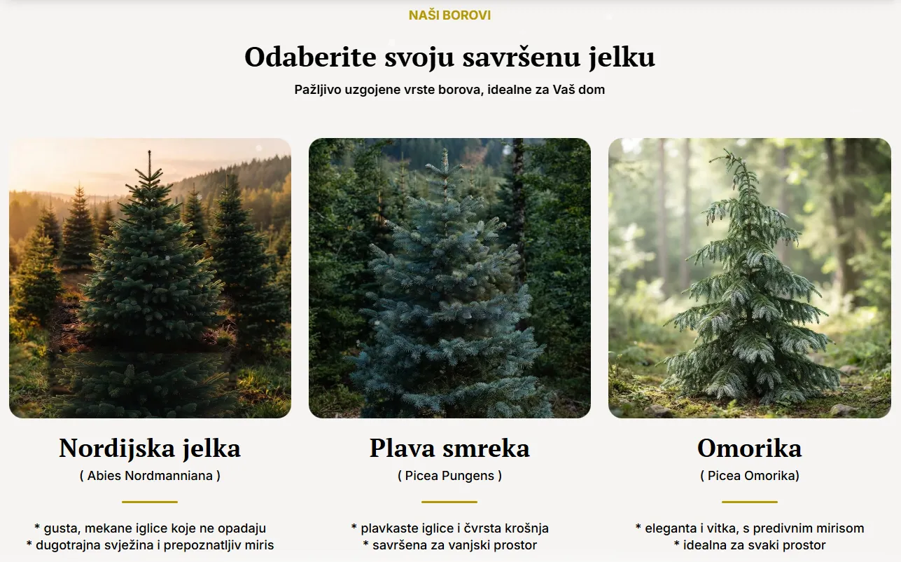 Three types of Christmas trees labeled in Croatian: Nordijska jelka (Abies Nordmanniana) with dense soft needles and long-lasting fragrance, Plava smreka (Picea Pungens) with blue needles and firm crown, ideal for outdoor spaces, and Omorika (Picea Omorika), elegant and slender with a pleasant scent, ideal for any space.
